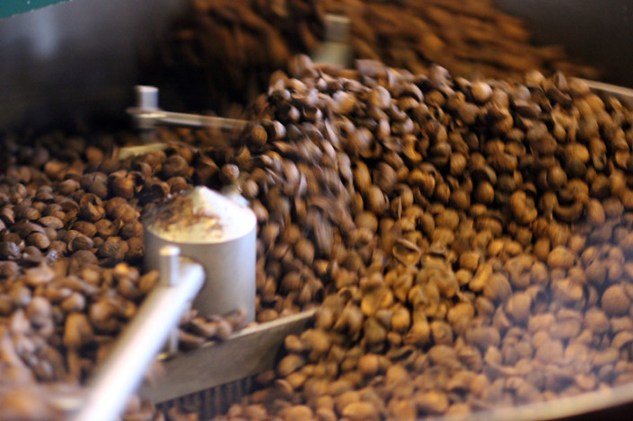 mayanut Maya nut seeds