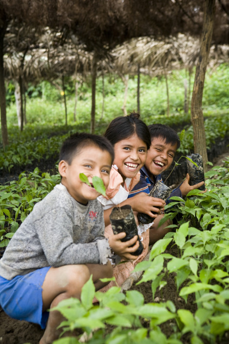 Guatemalan kids in MN tree nursery